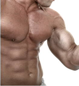 gain muscles