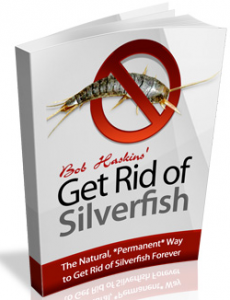 get rid of silverfish